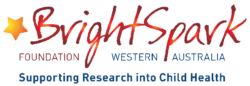 Brightspark logo